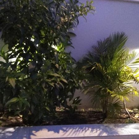 Arxontia 1 Appartement Kalamáta Buitenkant foto