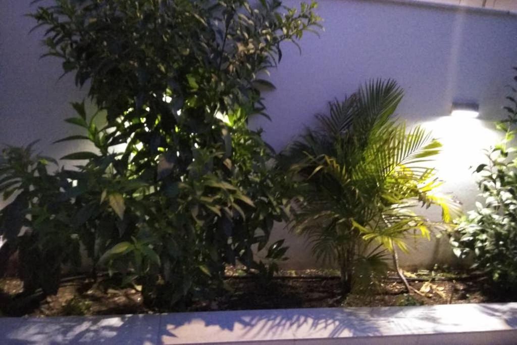 Arxontia 1 Appartement Kalamáta Buitenkant foto