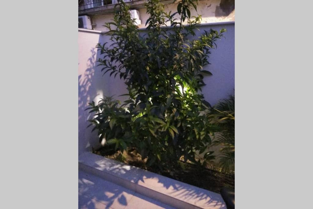 Arxontia 1 Appartement Kalamáta Buitenkant foto